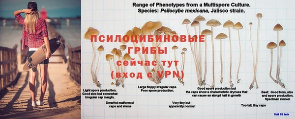 герыч Богородицк